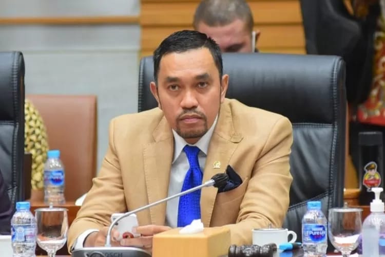 Ahmad Syahroni, (foto: DPR RI)